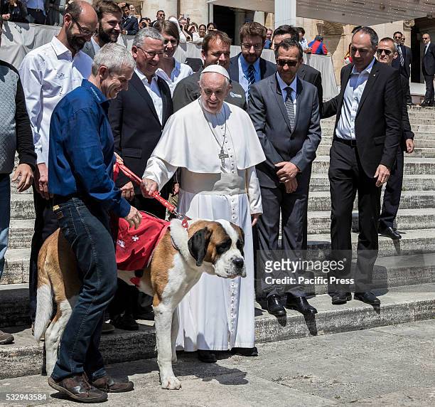 Pope Francis poses with a dog of the Barry Foundation of the Great St. Bernard during his Weekly General Audience in St. Peter's Square in Vatican...