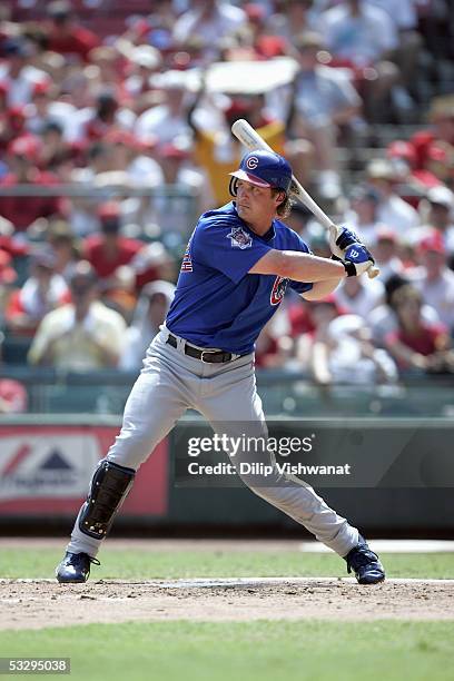 Todd Hollandsworth of the Chicago Cubs bats during the game with the with the St. Louis Cardinals on July 23, 2005 at Busch Stadium in St. Louis,...