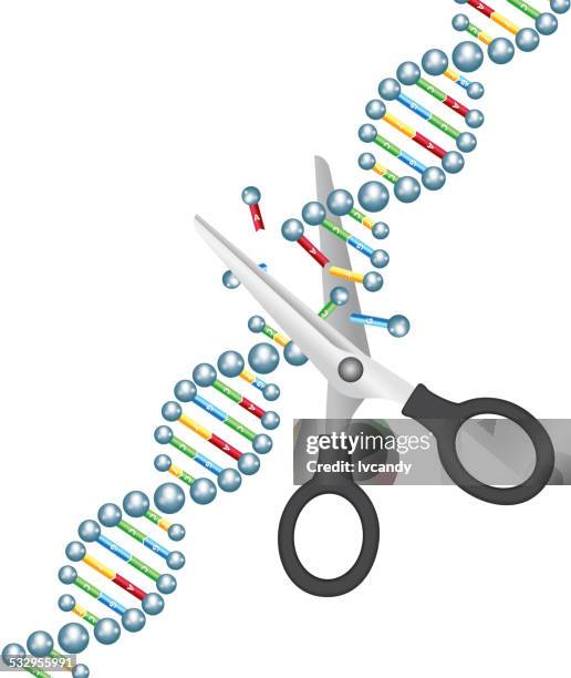 Dna Scissors Lab Dna Scissors Photos and Premium High Res Pictures - Getty Images