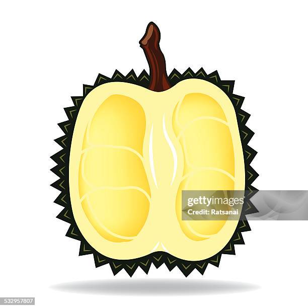 durian fruit - durian stock illustrations