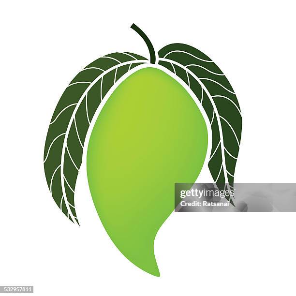 mango - mangoes stock illustrations