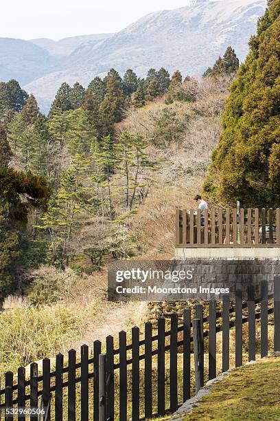 nationalpark fuji-hakone-izu nationalpark in kanagawa präfektur, japan - fuji hakone izu national park stock-fotos und bilder