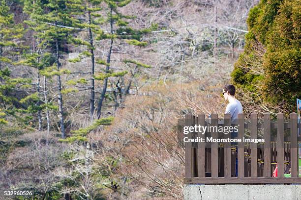 nationalpark fuji-hakone-izu nationalpark in kanagawa präfektur, japan - fuji hakone izu national park stock-fotos und bilder