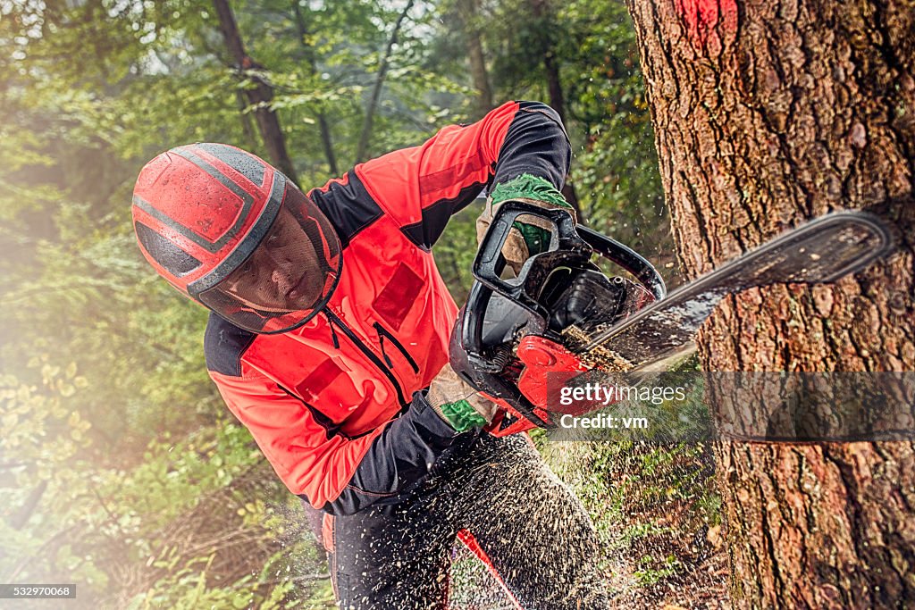 Holzfäller arbeiten