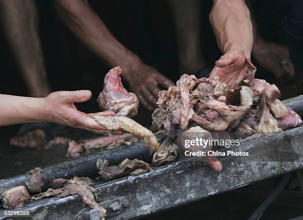 In Changping County of Beijing, China. Beijing Health Supervision Institute has confiscated over 2,000 kg spoiled pork in a freezer of the...