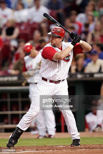 Sean Casey of the Cincinnati Reds bats against the Chicago Cubs during the game on September 16, 2004 at Great American Ballpark in Cincinnati, Ohio....