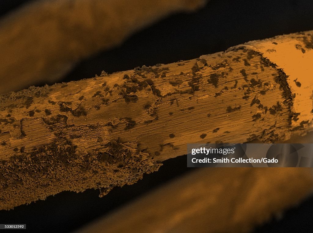Colorized scanning electron microscope micrograph showing damage and ...