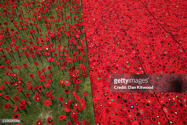 Poppies are installed in an installation at Royal Hospital Chelsea on May 20, 2016 in London, England. The installation comprises of a tribute of...