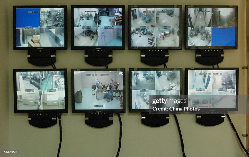 China Starts Producing Pig-borne Disease Vaccine