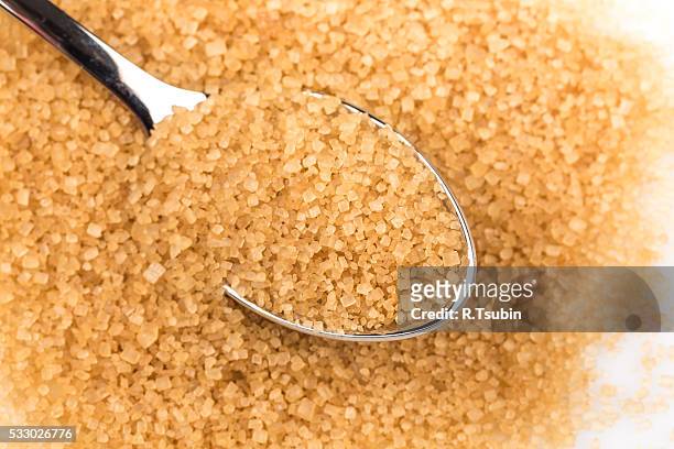 brown sugar in a spoon - turbinadosocker bildbanksfoton och bilder