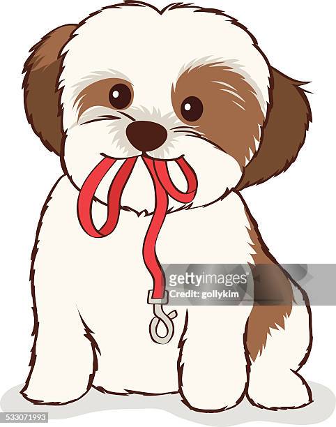ilustraciones, imágenes clip art, dibujos animados e iconos de stock de shih tzu cachorro con correa en la boca - dog leash