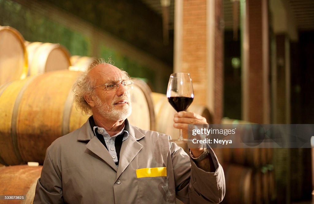 Senior Man with Beard Holding Glass of Red Wine