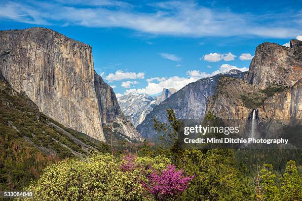 yosemite valley 2 - yosemite national park stock pictures, royalty-free photos & images
