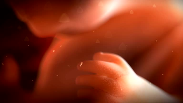 Medicina fetal especializada - Ultrasonido prenatal
