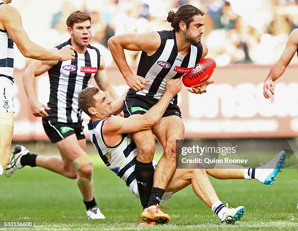 Brodie Grundy of the Magpies handballs whilst being tackled by Joel Selwood of the Cats during the round nine AFL match between the Collingwood...