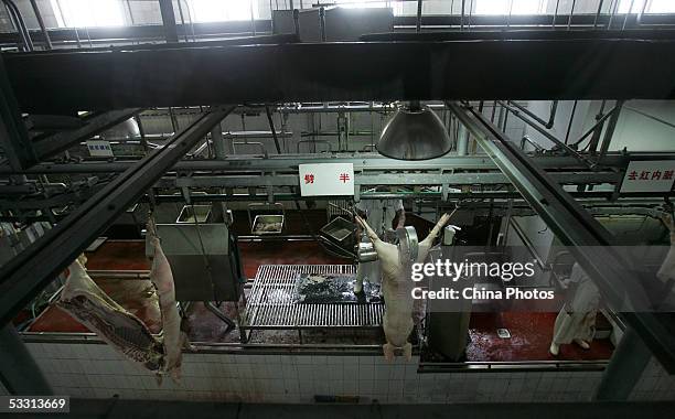 Worker cuts a slaughtered pig at a production line in a workshop of Beijing Resource Group on August 1, 2005 in Beijing, China. China has launched...