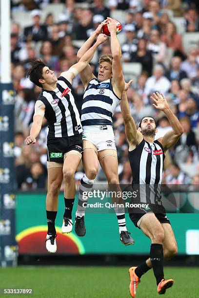 Rhys Stanley of the Cats marks infront of Brayden Maynard of the Magpies during the round nine AFL match between the Collingwood Magpies and the...