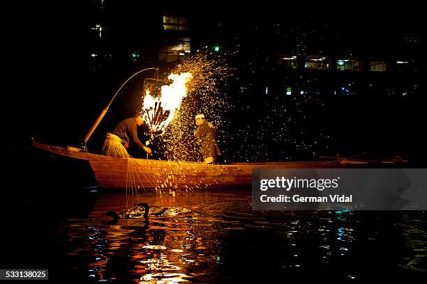 cormorant night fishing, kiso river (japan) - cormorant stock pictures, royalty-free photos & images