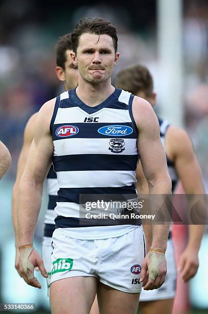 Patrick Dangerfield of the Cats looks dejected after losing the round nine AFL match between the Collingwood Magpies and the Carlton Blues at...