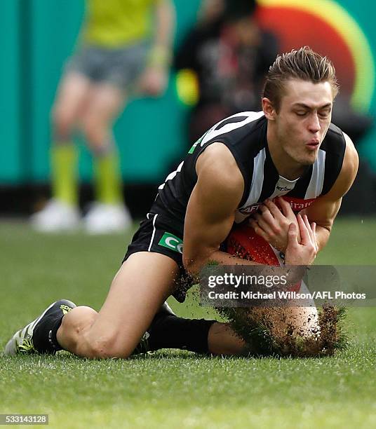 Darcy Moore of the Magpies marks the ball during the 2016 AFL Round 09 match between the Collingwood Magpies and the Geelong Cats at the Melbourne...