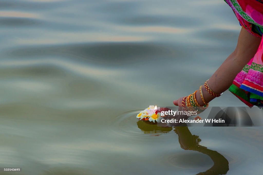 Flower Offering High-Res Stock Photo - Getty Images