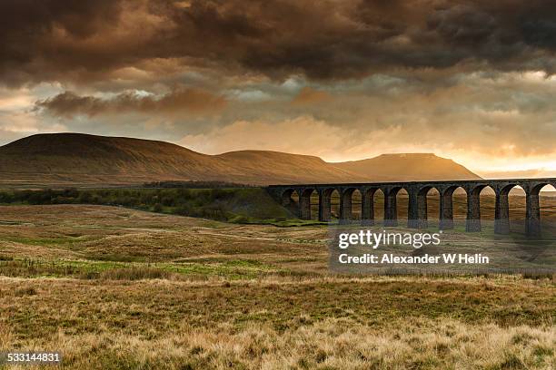 ribblehead viaduct - ribblehead viaduct stock pictures, royalty-free photos & images