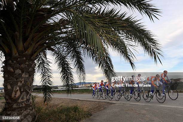 Team Rabobank Training 2010 Illustration Illustratie Palm Tree Palmboom / Peleton Peloton / Entrainement / Equipe Ploeg / Tim De Waele