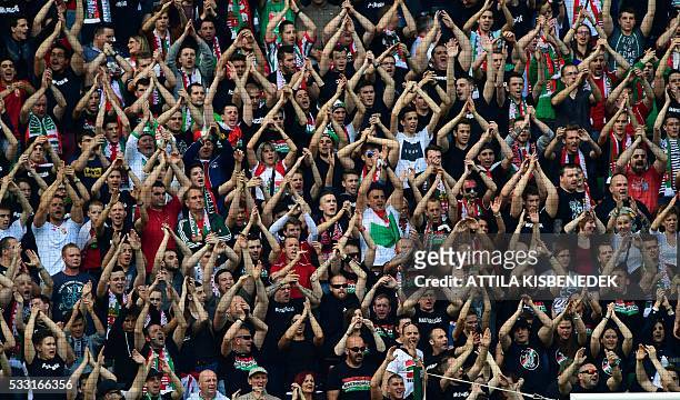 Hungary's fans cheer their national team during a friendly football match between Hungary and Ivory Coast on May 20, 2016 at Groupama Arena of...
