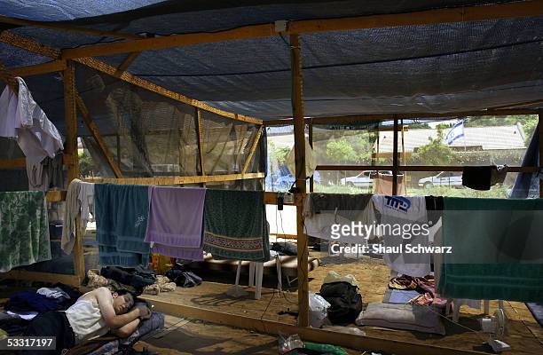 An Israeli youth sleeps inside a makeshift hut set up by settlers for Israeli's opposed to Prime Minister Ariel Sharon's disengement plan who snuck...