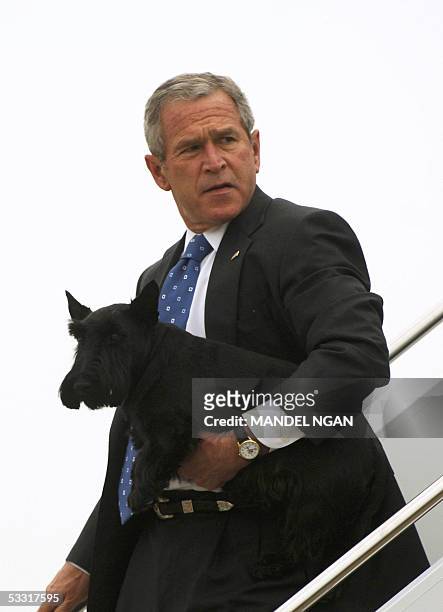 President George W. Bush carries his dog Barney as he deplanes upon arrival in Waco 02 August 2005. Bush is heading to his beloved Crawfordranch for...