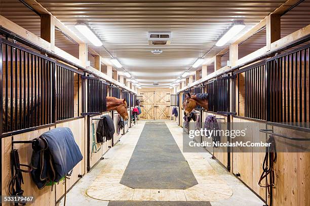 contemporary horse stalls - barnyard stockfoto's en -beelden