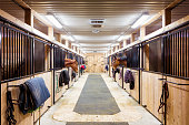 Contemporary horse stalls