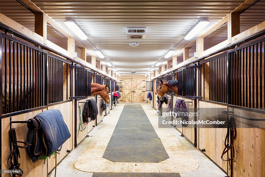 Contemporary horse stalls