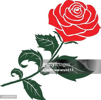Graphic Red Roz Red Rose Vector Design High-Res Vector Graphic - Getty Images