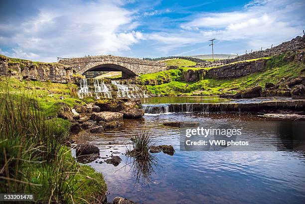 bridge and waterfall, yorkshire dales - north yorkshire stock pictures, royalty-free photos & images