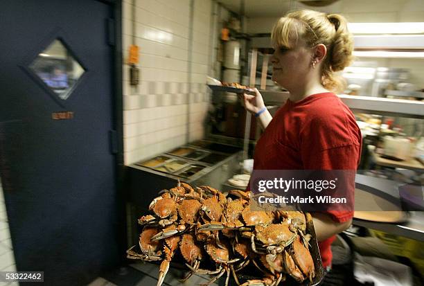 Waitress gets ready to serve a plate of Blue Crabs at Abner's Crabhouse August 3, 2005 in Chesapeake Beach, Maryland. The Maryland Blue Crab has been...