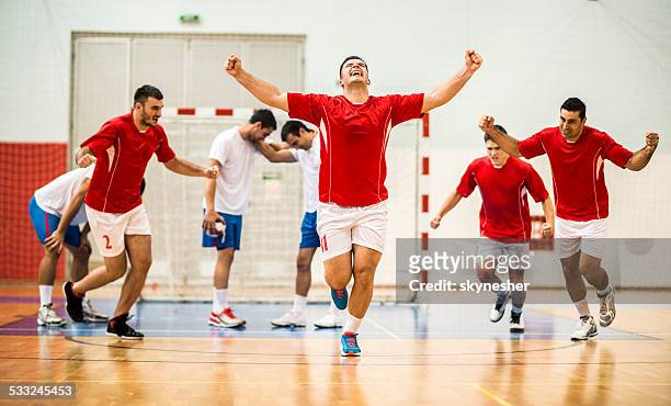 goal! - handball stock pictures, royalty-free photos & images