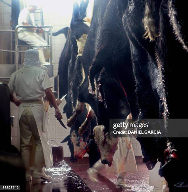 Slaughtered beef is processed at the Yaguane Meat Processing Plant Cooperative 29 July, 2005 in the province of Buenos Aires, Argentina. AFP PHOTO...