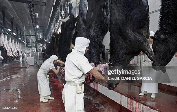 Workers process beef at the Yaguane Meat Processing Plant Cooperative 29 July, 2005 in the province of Buenos Aires, Argentina. AFP PHOTO DANIEL...