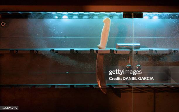 Cutter's knife is sterilized with ultraviolet radiation at the Maneca Meat Processing Plan 09 June, 2005 in San Fernando, province of Buenos Aires....
