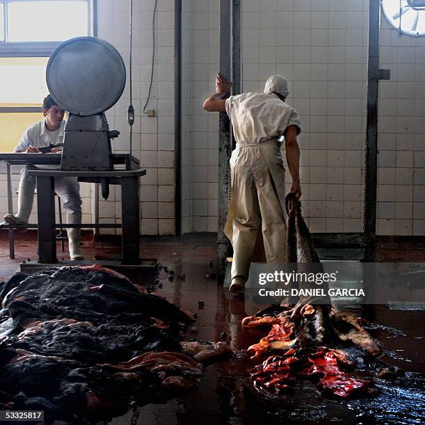 Workers weigh hides at the Yaguane Meat Processing Plant Cooperative 29 July, 2005 in the province of Buenos Aires, Argentina. AFP PHOTO DANIEL...