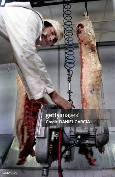 Worker splits beef in halves at the Yaguane Meat Processing Plant Cooperative 29 July, 2005 in the province of Buenos Aires, Argentina. AFP PHOTO...