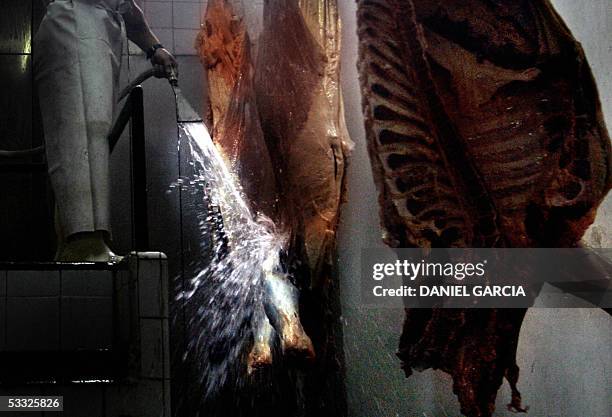 Worker washes beef split halves at the Yaguane Meat Processing Plant Cooperative 29 July, 2005 in the province of Buenos Aires, Argentina. AFP PHOTO...