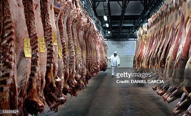 Rodolfo Gomez inspects beef split halves in the freezer at the Yaguane Meat Processing Plant Cooperative 29 July, 2005 in the province of Buenos...
