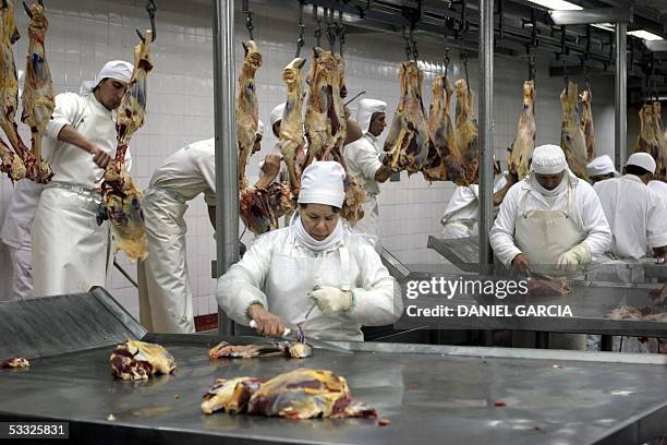Workers process beef cuts at the Yaguane Meat Processing Plant Cooperative 29 July, 2005 in the province of Buenos Aires, Argentina. AFP PHOTO DANIEL...