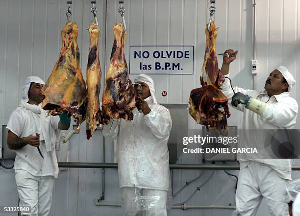 Workers prepare beef front quarters to be processed at the Maneca Meat Processing Plan 09 June, 2005 in San Fernando, province of Buenos Aires. AFP...