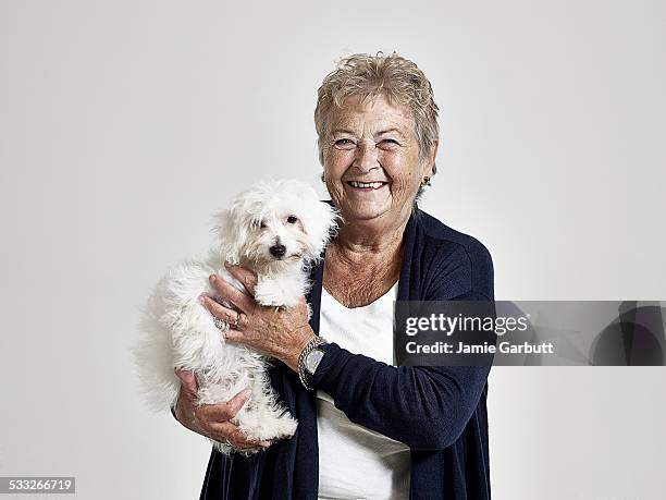 elderly women smiling holding her puppy - woman holding dog studio stock-fotos und bilder