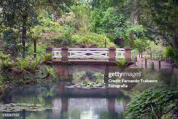 small wooden bridge over a lake - gijón fotografías e imágenes de stock