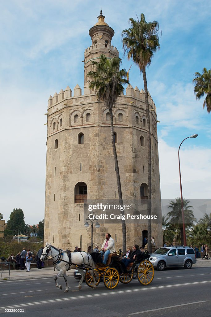 Horse and carriage passing the Torre del Oro