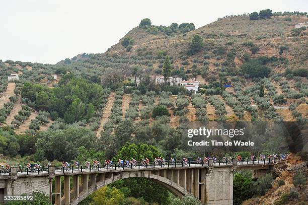 65th Tour of Spain 2010 / Stage 4 Illustration Illustratie / Peleton Peloton / Bridge Pont Brug / Olive Trees Arbres Boom Olijf / Landscape Paysage...